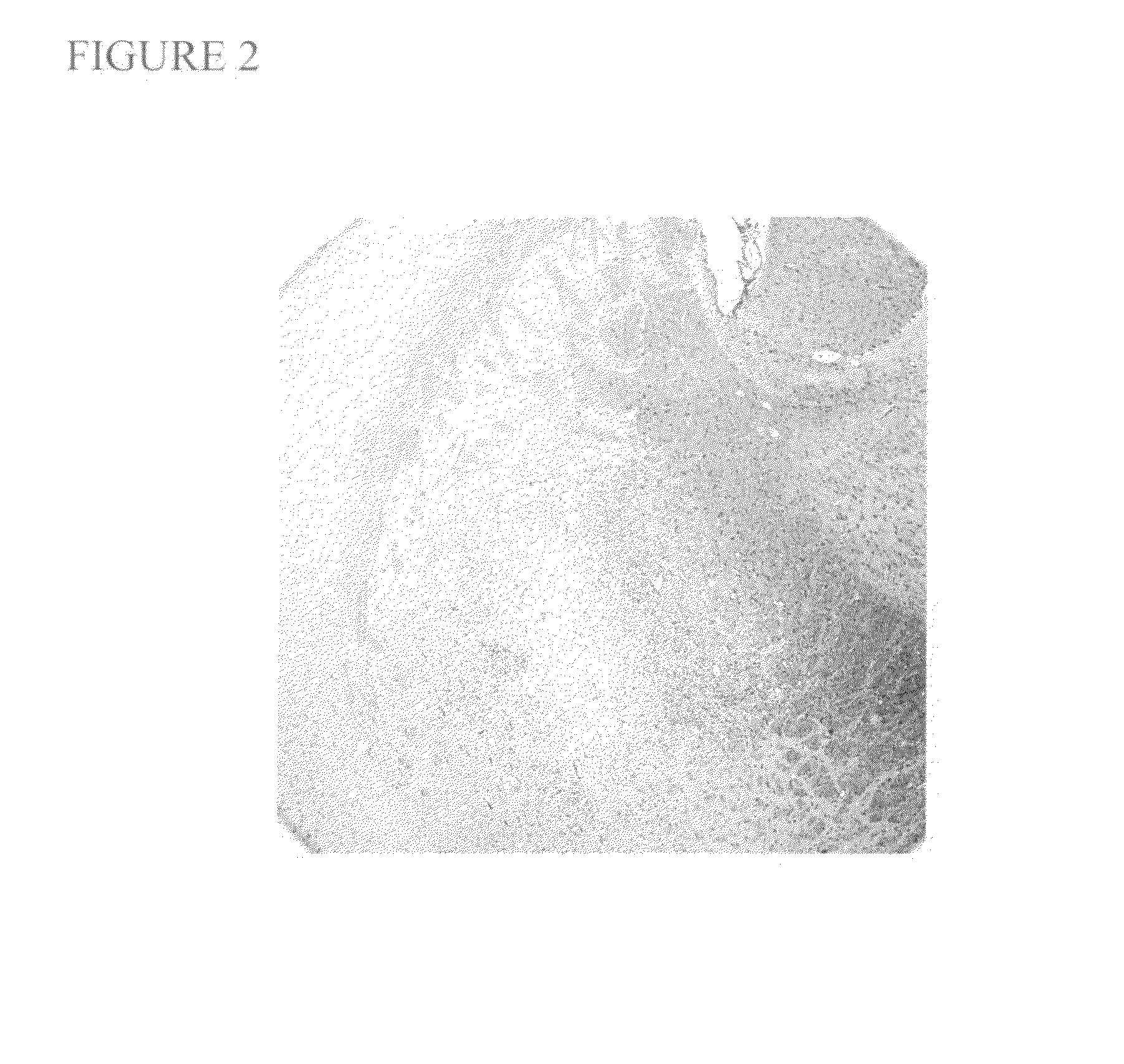 Devices, compositions and methods for the protection and repair of cells and tissues