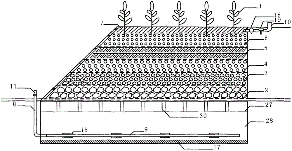 Wastewater treatment system based on constructed wetlands