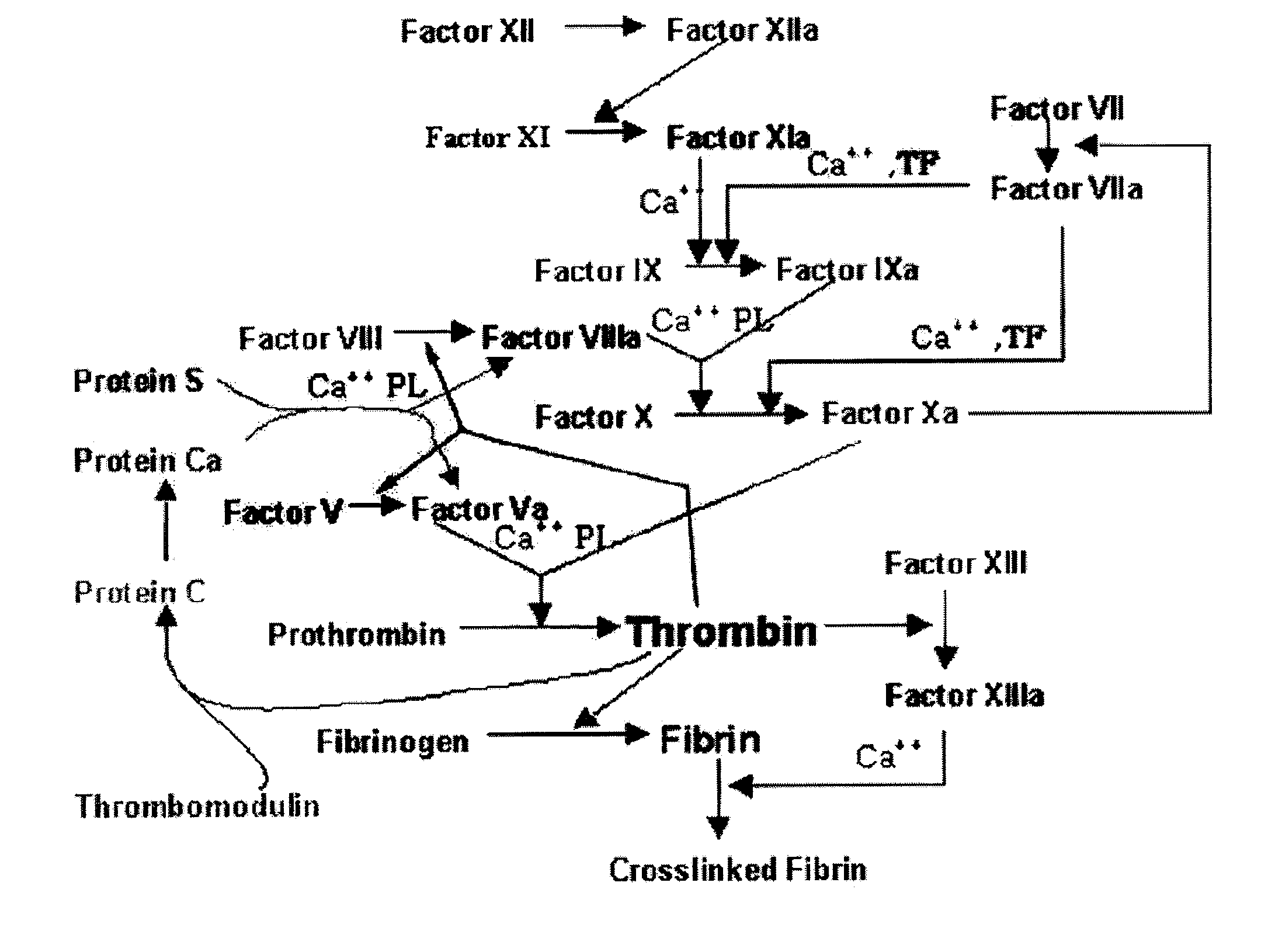 Fxa inhibitors with cyclic amidines as p4 subunit, processes for their preparations, and pharmaceutical compositions and derivatives thereof