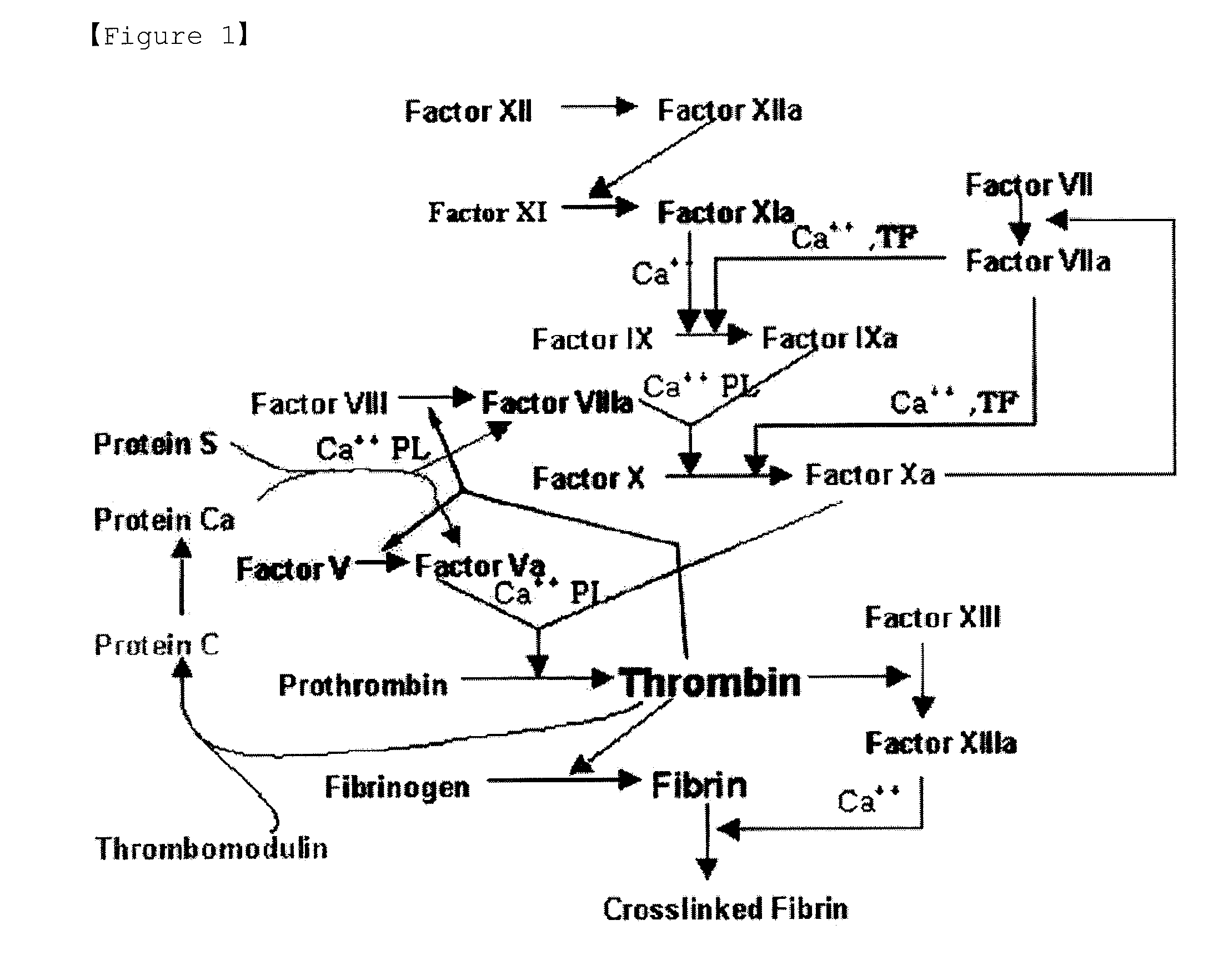 Fxa inhibitors with cyclic amidines as p4 subunit, processes for their preparations, and pharmaceutical compositions and derivatives thereof