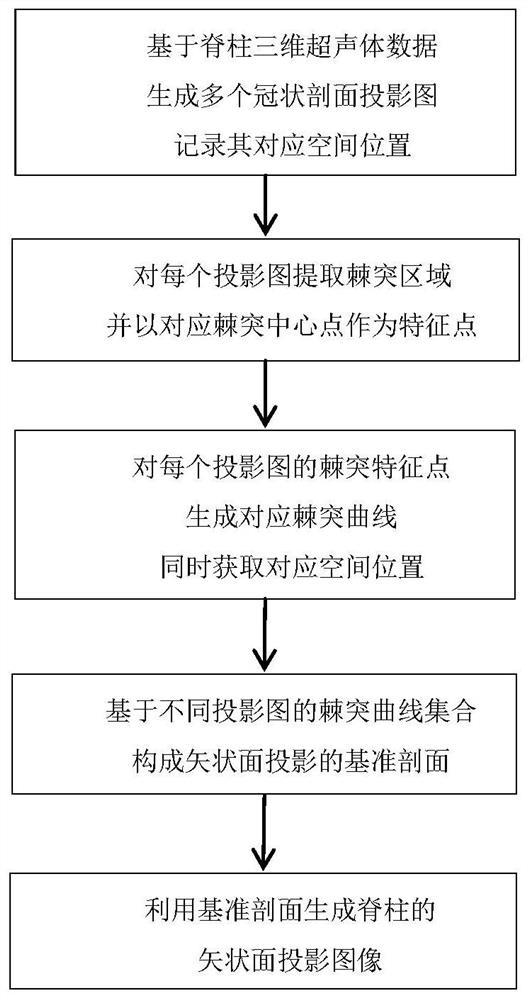 A Sagittal Plane Projection Imaging Method Based on 3D Ultrasound Spine Data