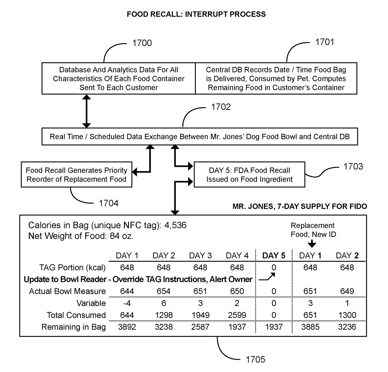 Pet Feeding System