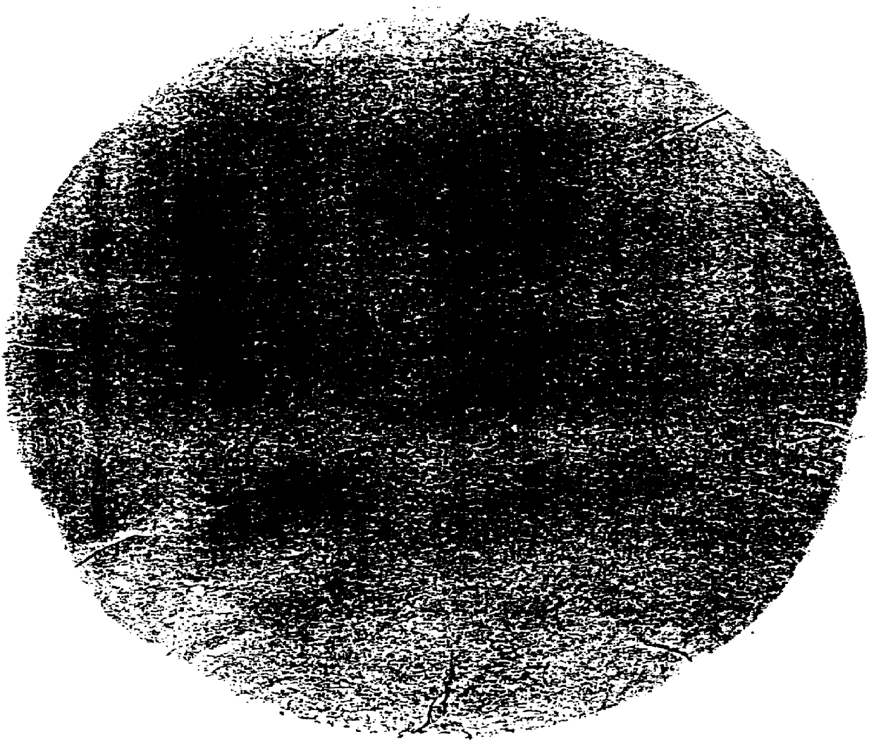 Method and composition for providing repulpable moisture vapor barrier coating for flexible packaging