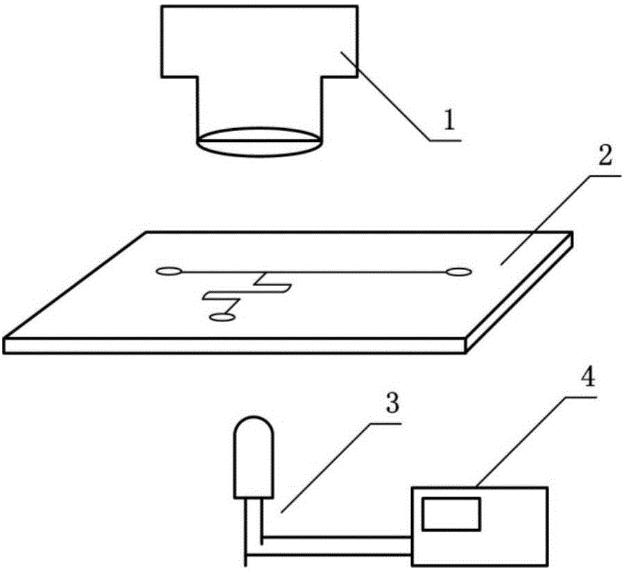 Device and method for observing micro-droplets