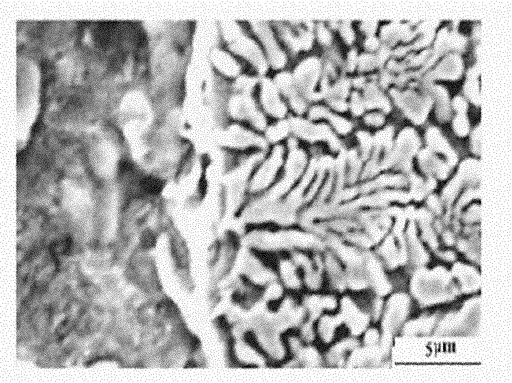 Method for carrying out laser-cladding on high-hardness nickel-based alloy material in large area