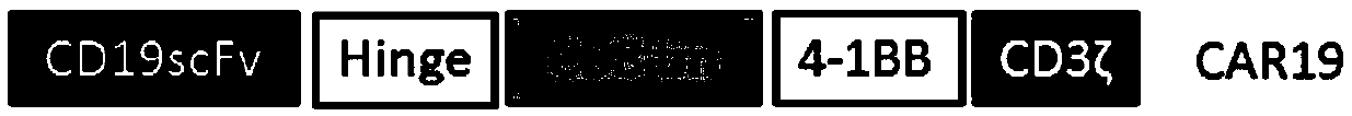 Chimeric antigen receptor, gene of chimeric antigen receptor, recombinant expression vector of chimeric antigen receptor, CD22-CD19 double-targeting T cell and application of cell