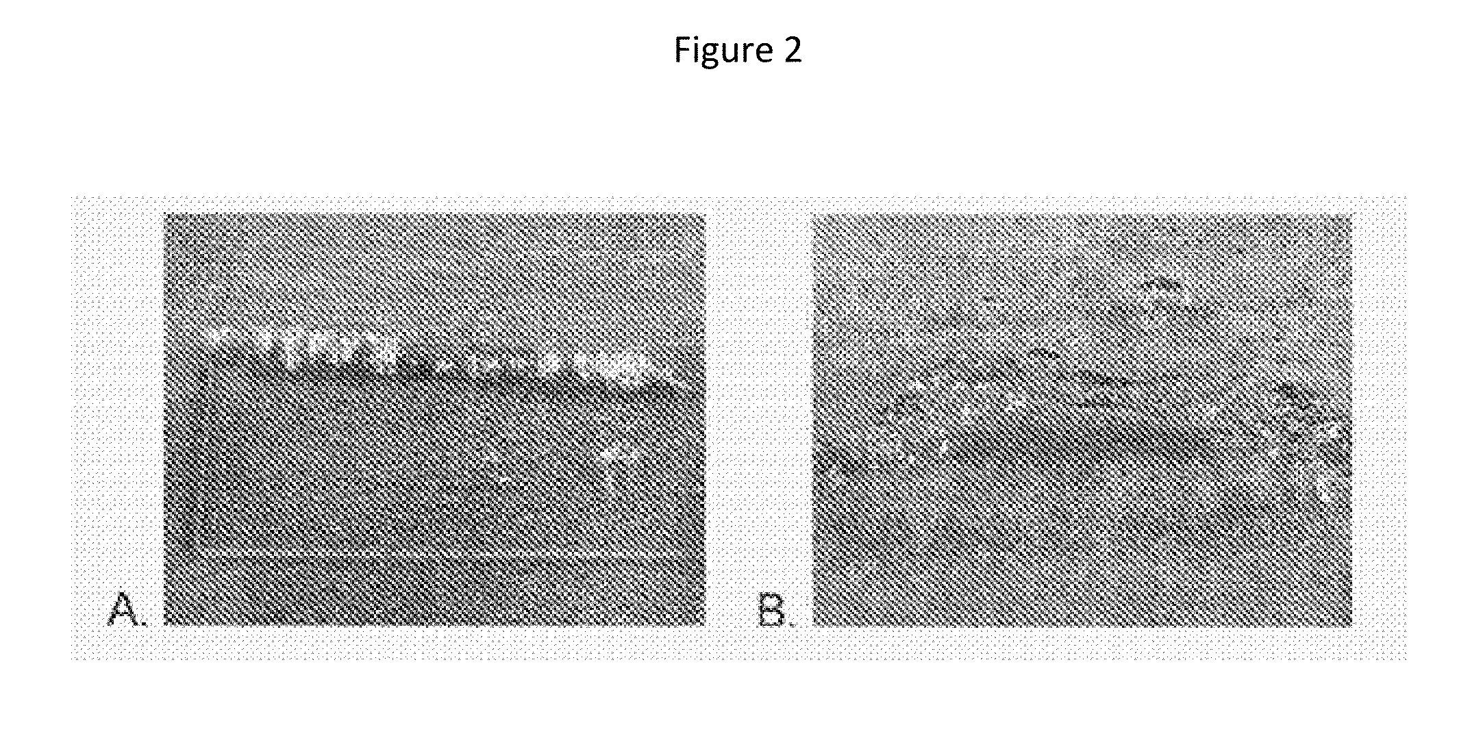 Scalable Three-Dimensional Elastic Construct Manufacturing