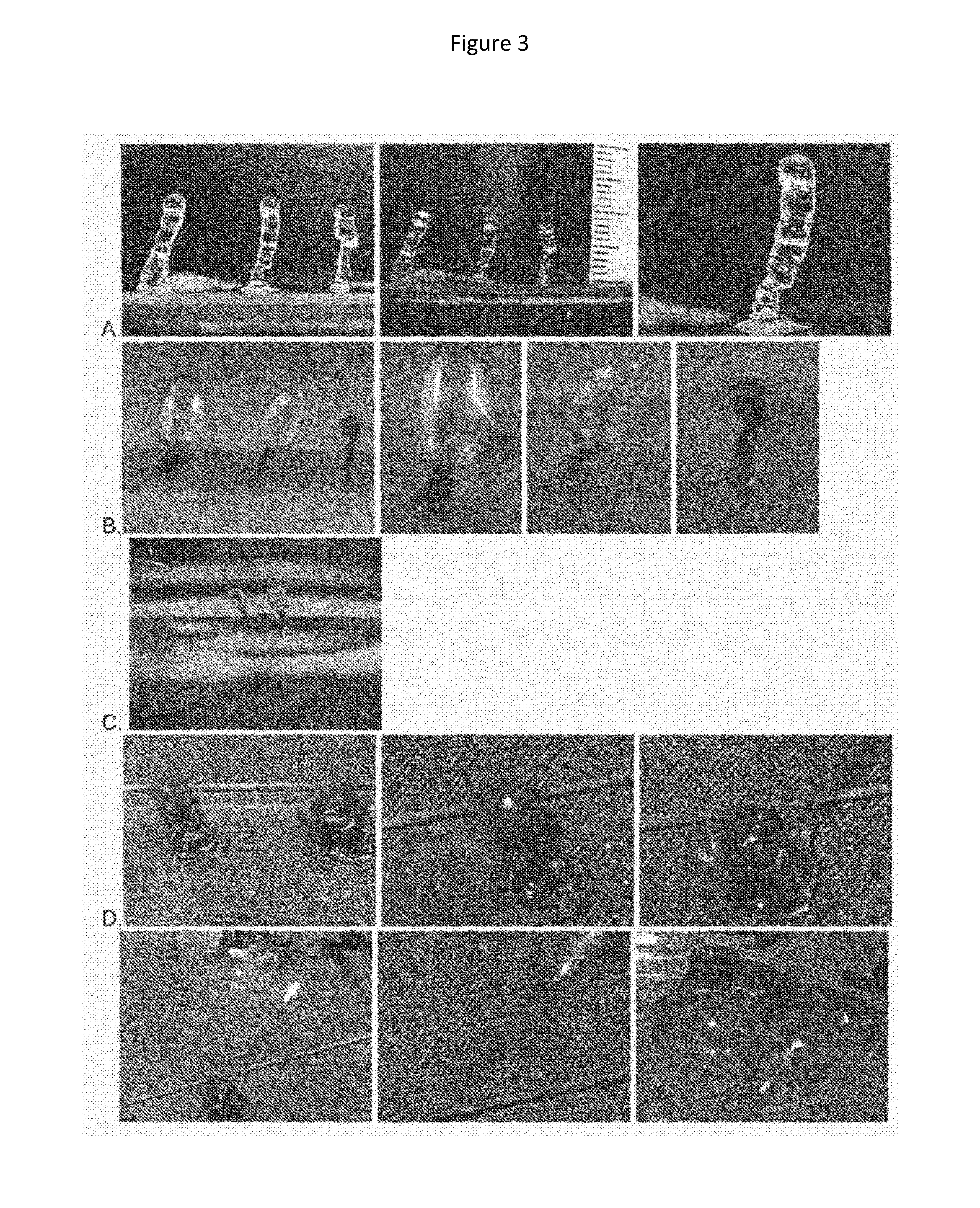 Scalable Three-Dimensional Elastic Construct Manufacturing