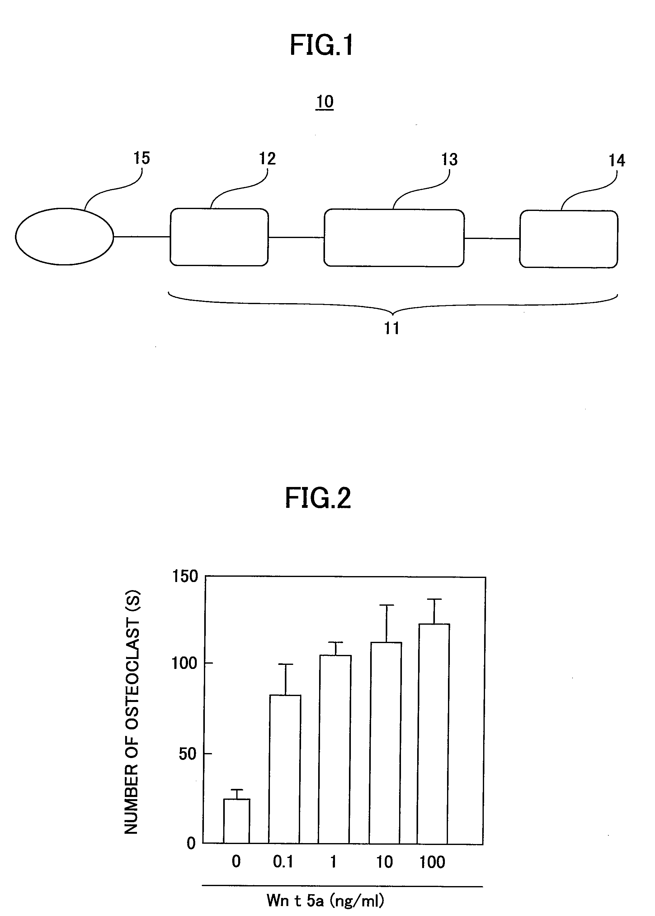 Protein, osteoclast differentiation inhibitor, inflammatory bone resorption therapeutic agent, gene, recombinant vector, method of manufacturing a protein, method of inhibiting osteoclast differentiation, and method of treating inflammatory bone resorption