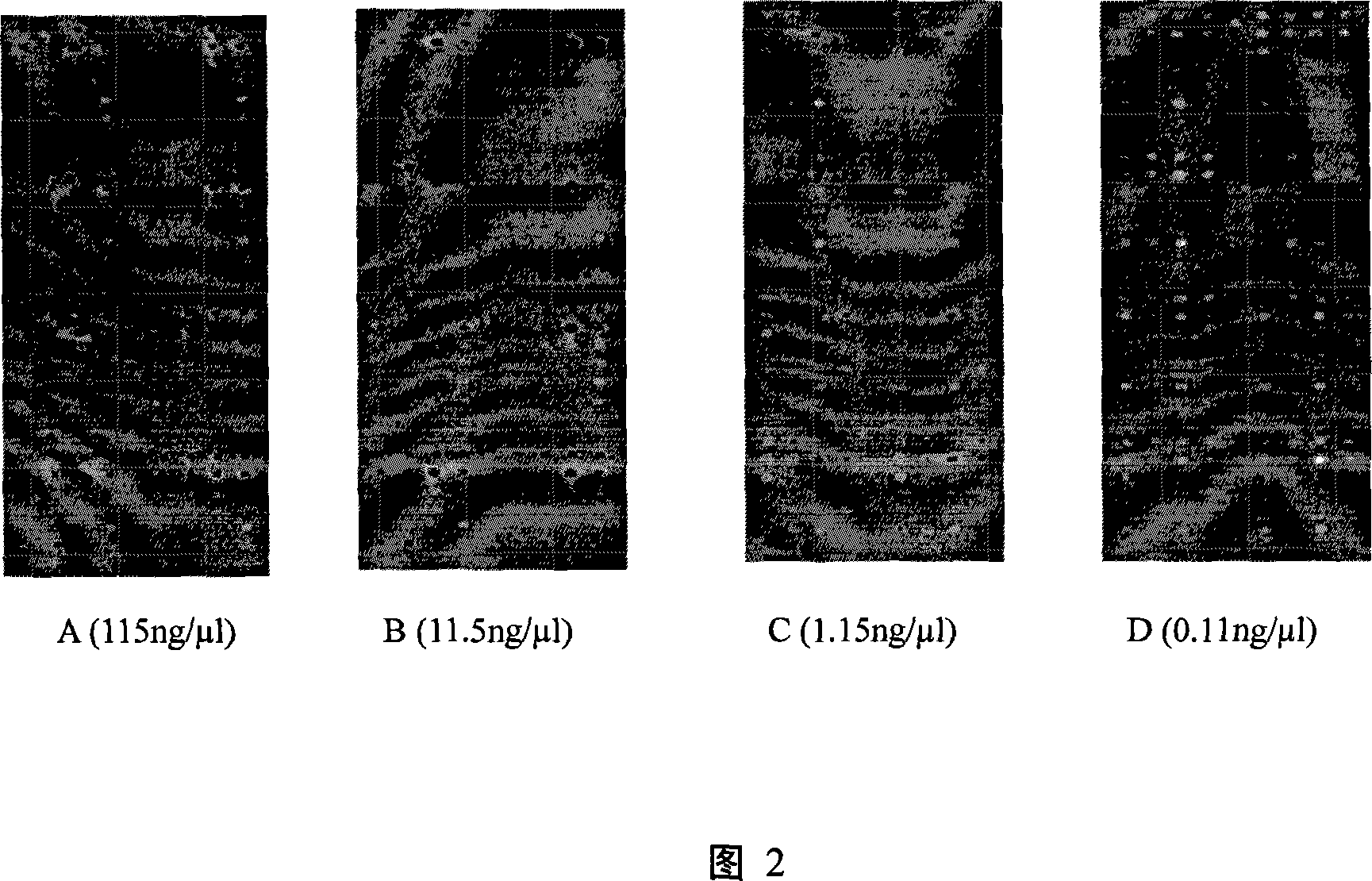 Genome chip for analyzing microbial community structure in acidic environment