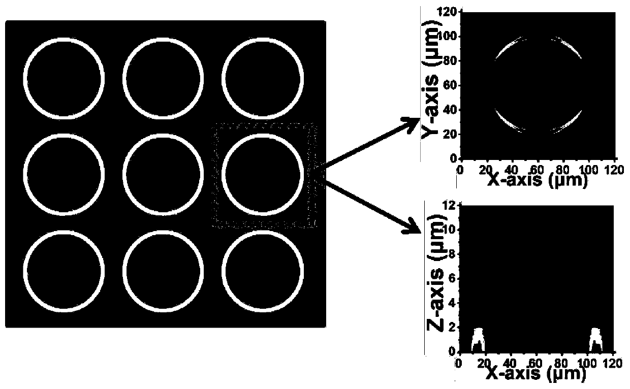 Terahertz wave technology-based unmarked aquaporin function assessment method