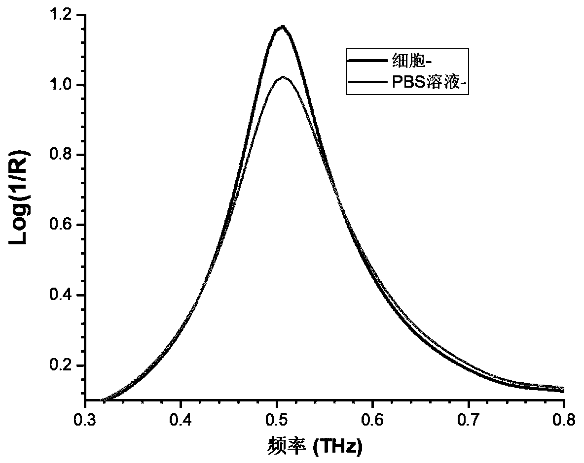 Terahertz wave technology-based unmarked aquaporin function assessment method