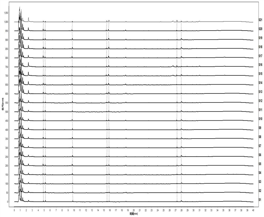 A kind of uplc characteristic map construction method and identification method of Pseudostellaria Pseudostellariae medicinal material and Pseudostellariae standard decoction