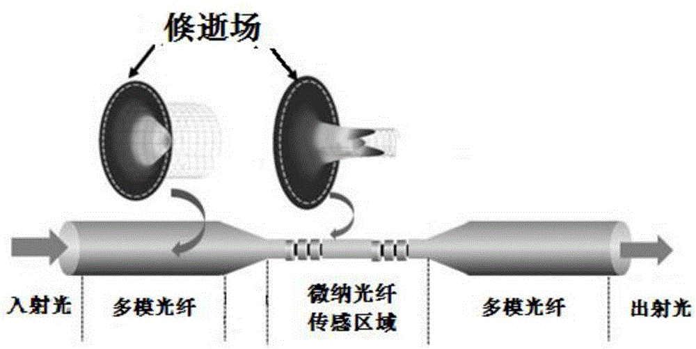 Micro-nano optical fiber photoacoustic detection device and detection method thereof