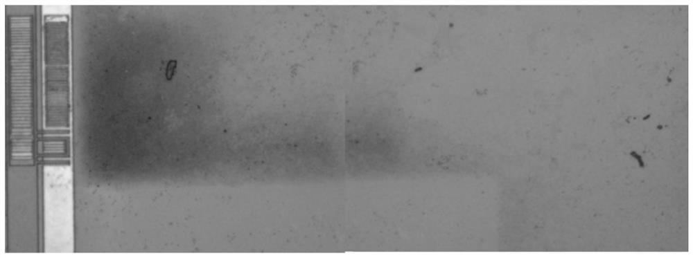 Microsequence image mosaic method and device