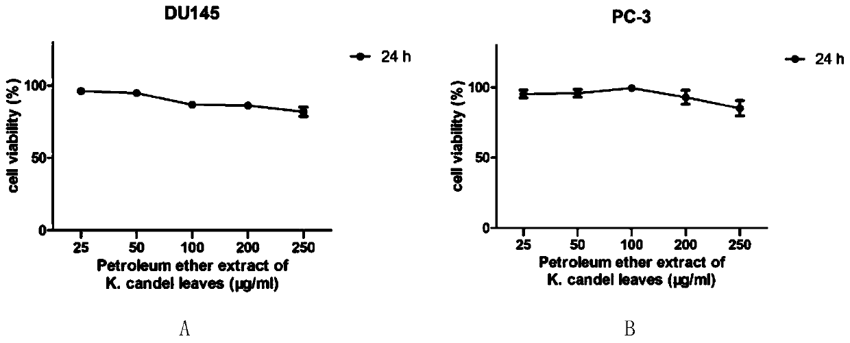 Application of kandelia candel extract in petroleum ether in resistance of prostatic cancer