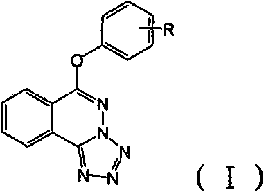 6-(substituted phenoxy)-tetrazolo[5,1-a] phthalazine derivatives as antuepileptics and their pharmaceutically acceptable salts