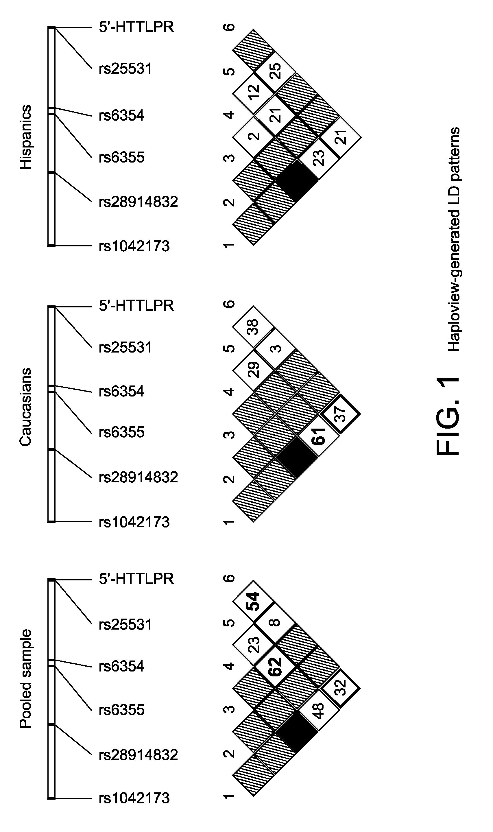 Serotonin transporter gene and treatment of alcoholism