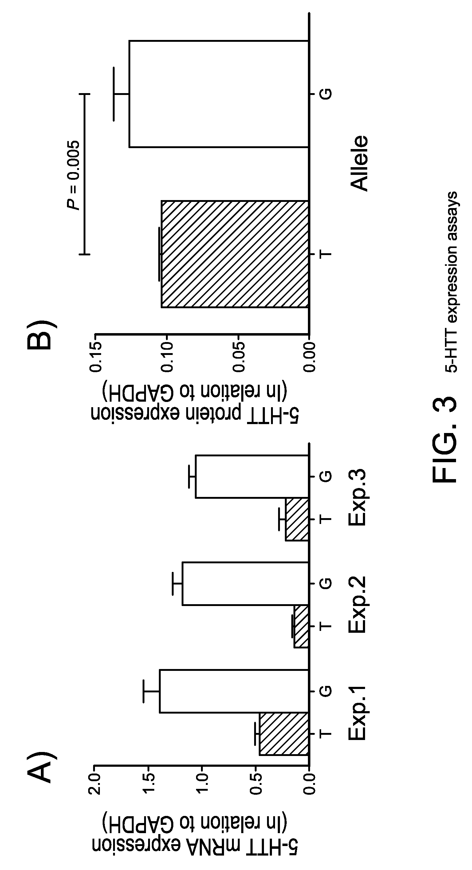 Serotonin transporter gene and treatment of alcoholism