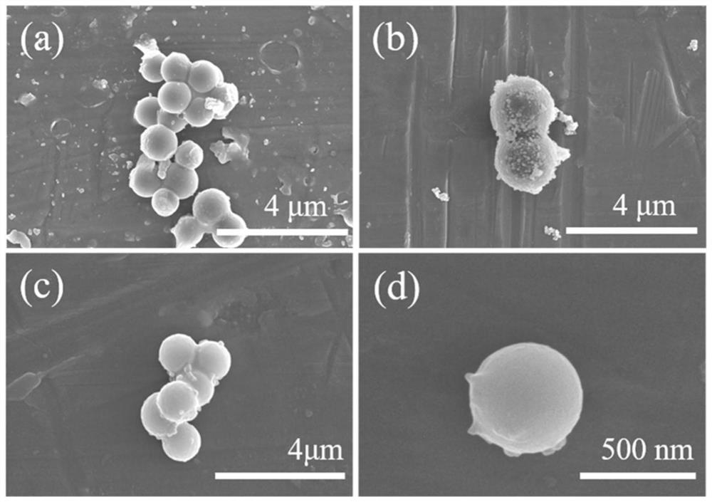 Preparation method of carbon microsphere/polymethyl methacrylate/polyethyleneimine nanocomposite with double shell-core structure