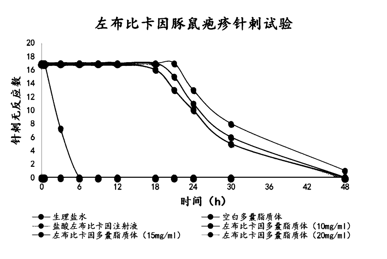 Local anesthesia pain relieving and slow-release medicine delivery system as well as preparation method and application thereof