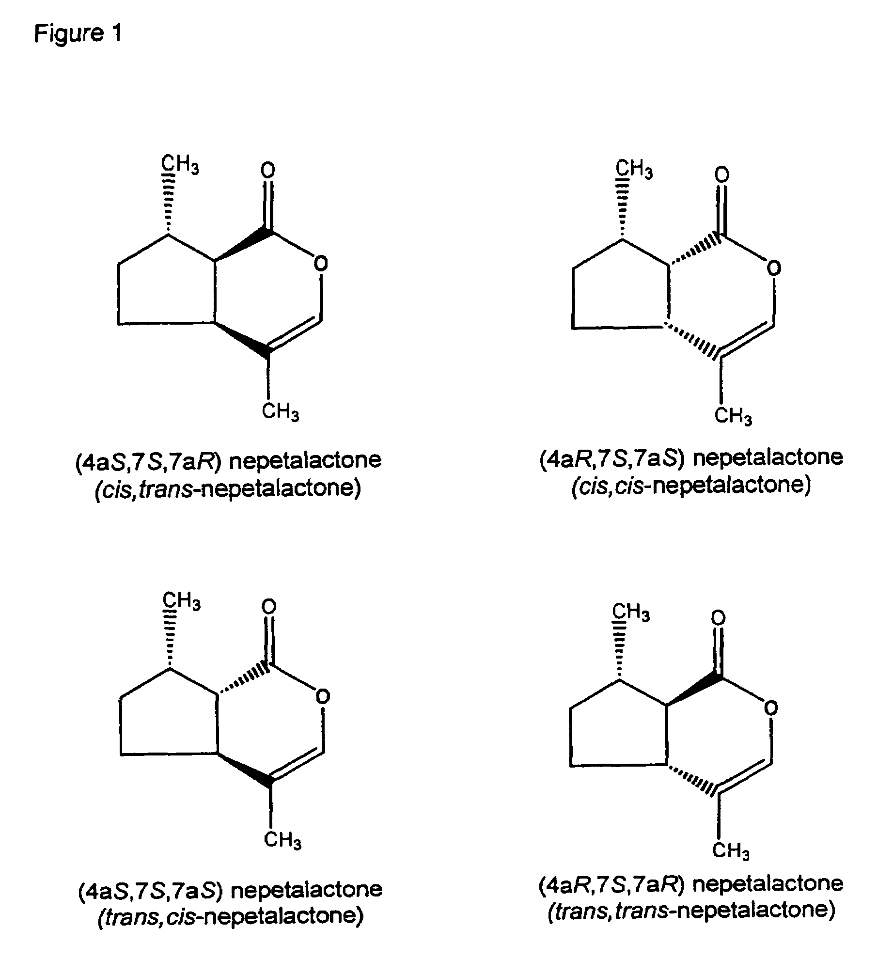 Insect repellent compounds