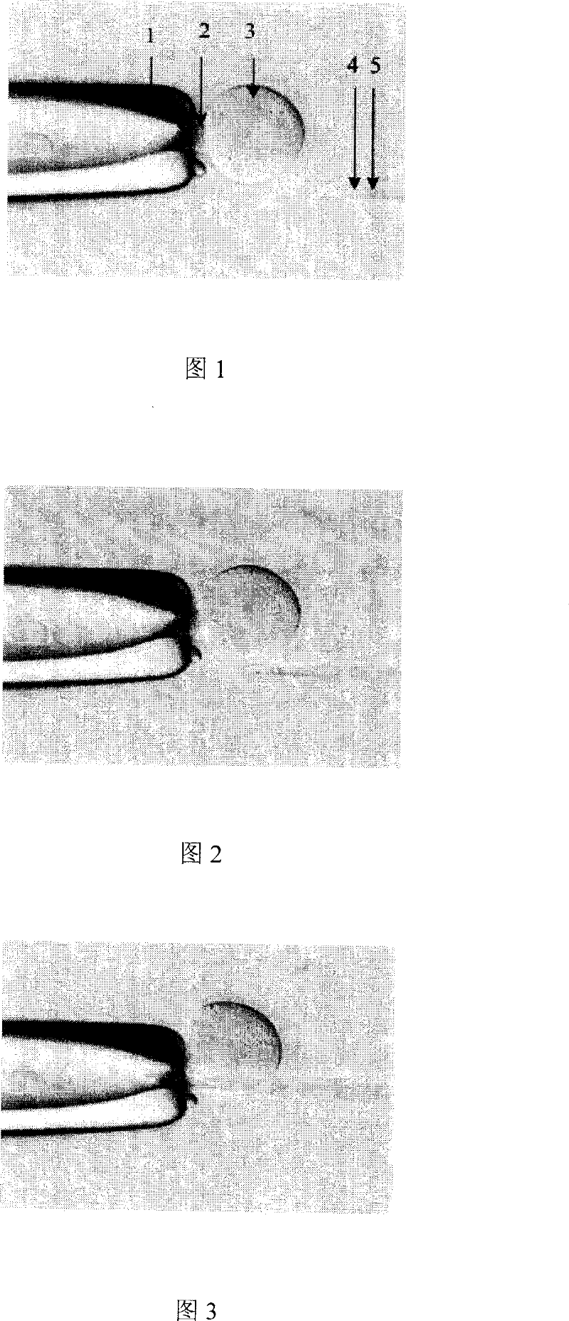 Transplantation method for nucleus