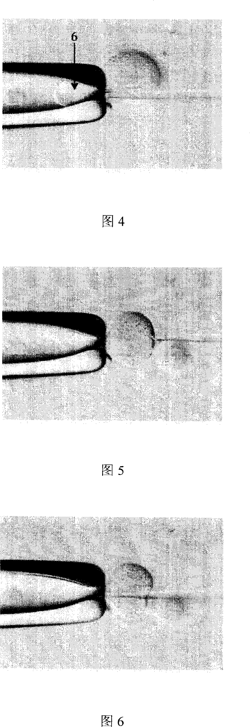 Transplantation method for nucleus