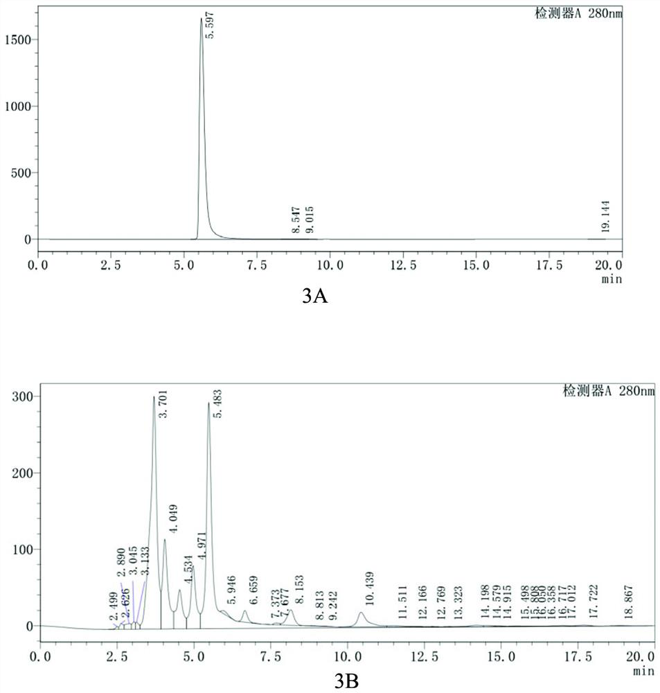 Engineering bacterium for producing alpha-arbutin, construction method and application thereof