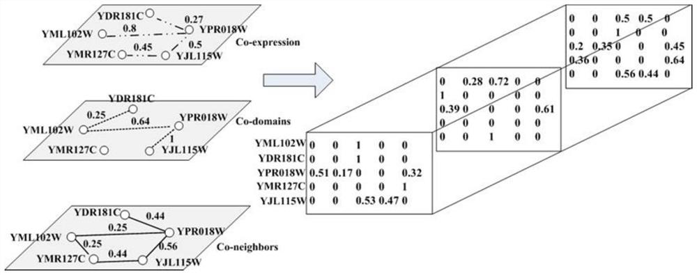 A Key Protein Identification Method Based on Tensor Random Walk