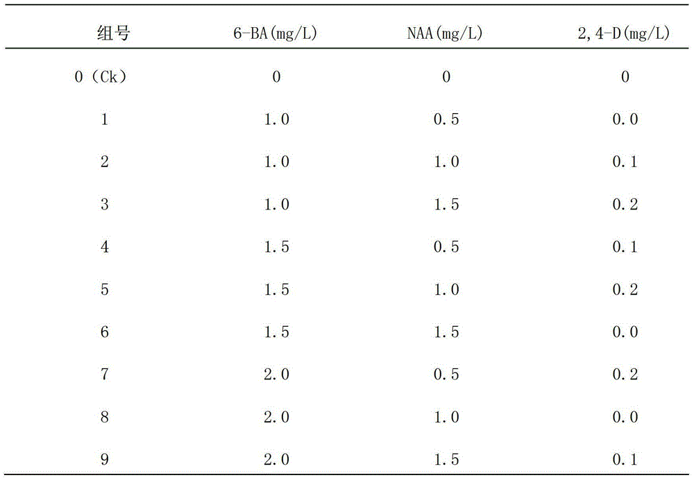 A kind of one-step seedling growth medium and method for in vitro culture of unique flavor