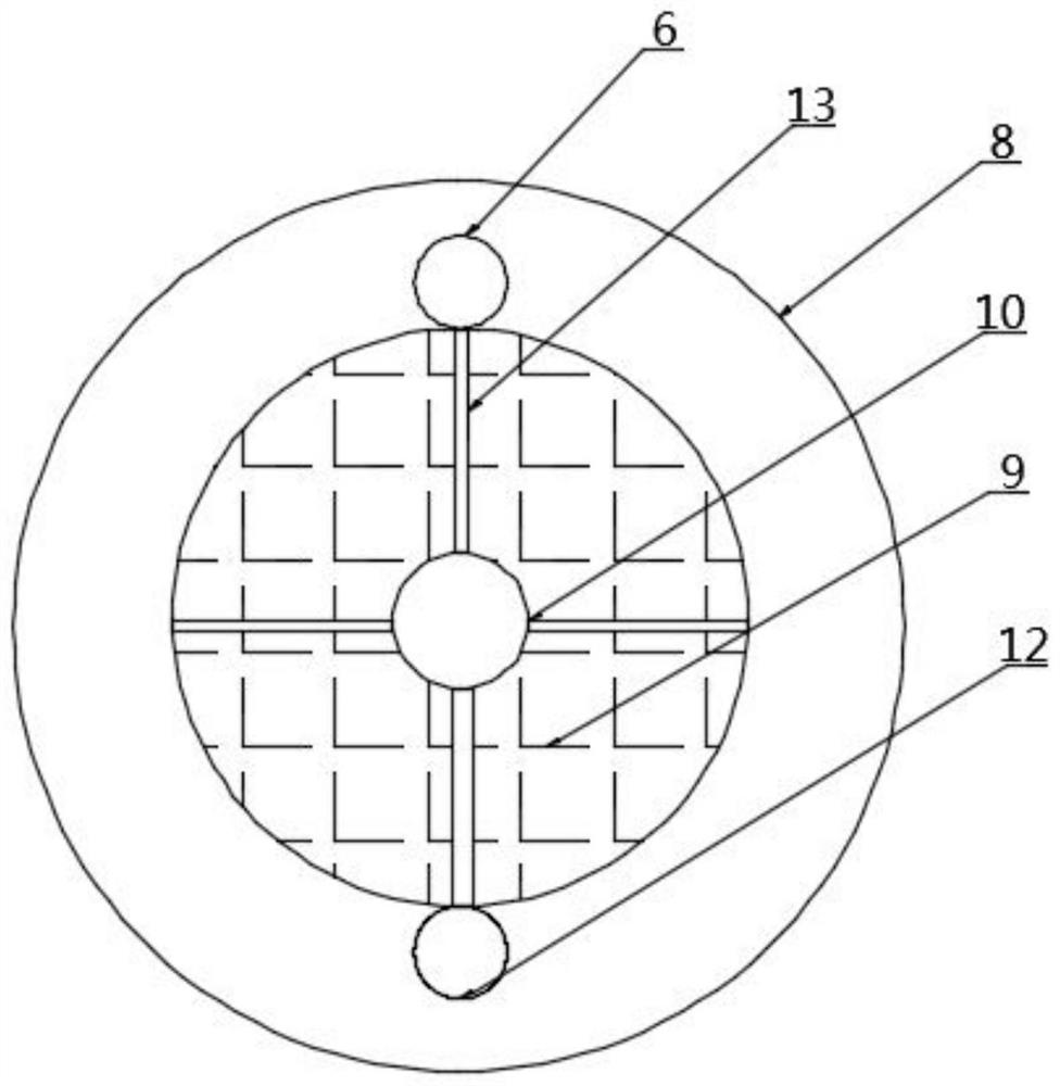 Tank body structure for producing lithocarpus litseifolius sweet tea