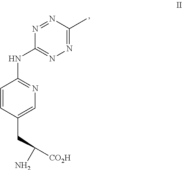 NON-NATURAL AMINO ACID tRNA SYNTHETASES FOR PYRIDYL TETRAZINE