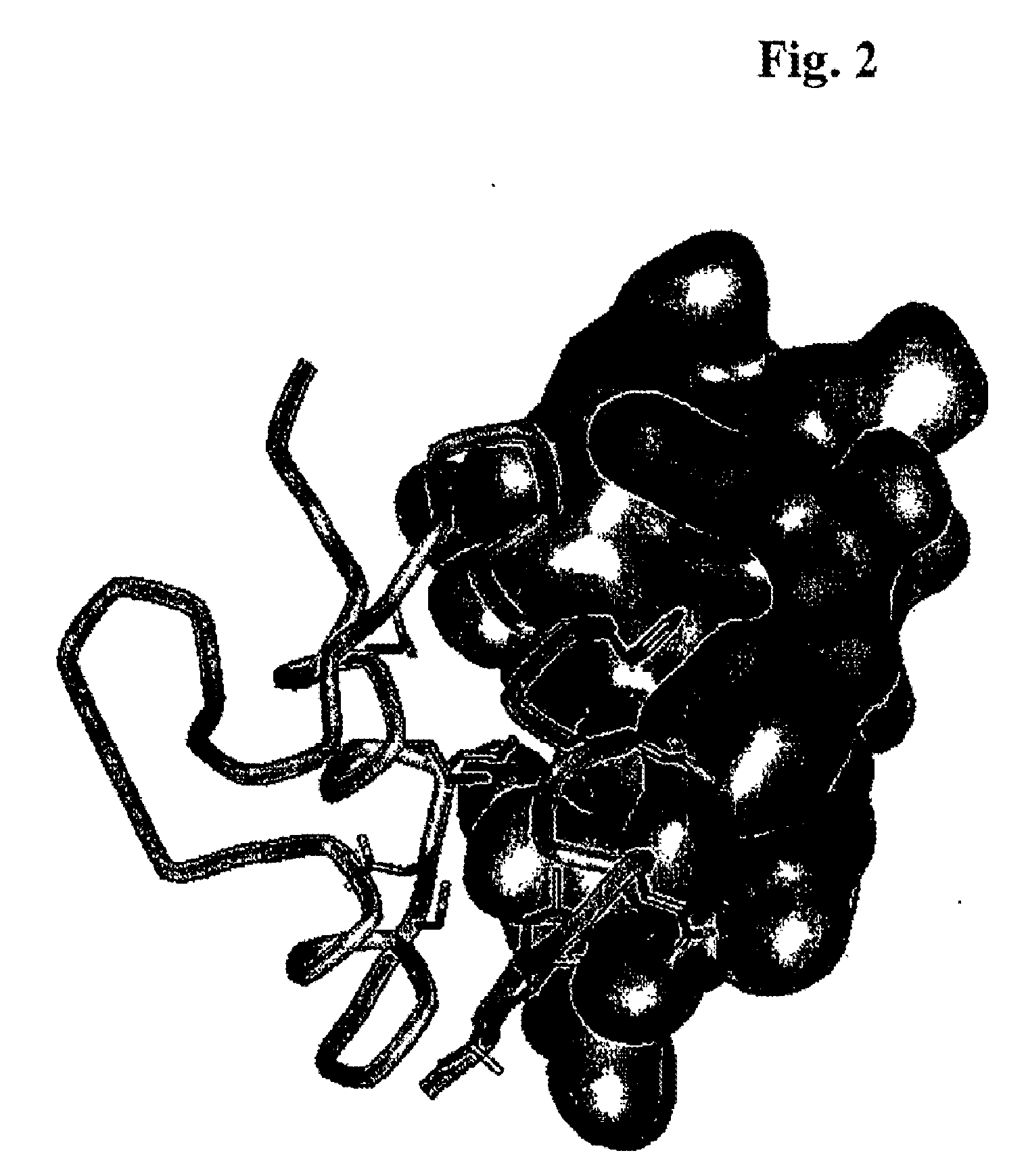 Mutants of IGF Binding Proteins and Methods of Production of Antagonists Thereof