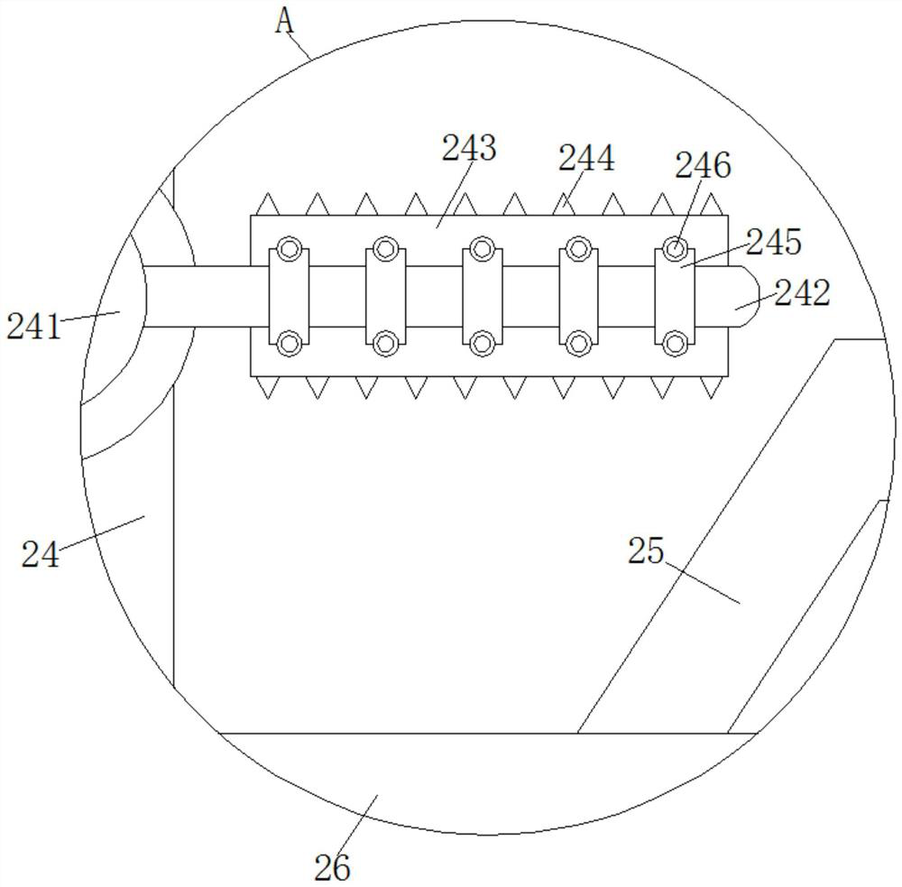 A kind of processing equipment capable of dehusking and separating cypress shells