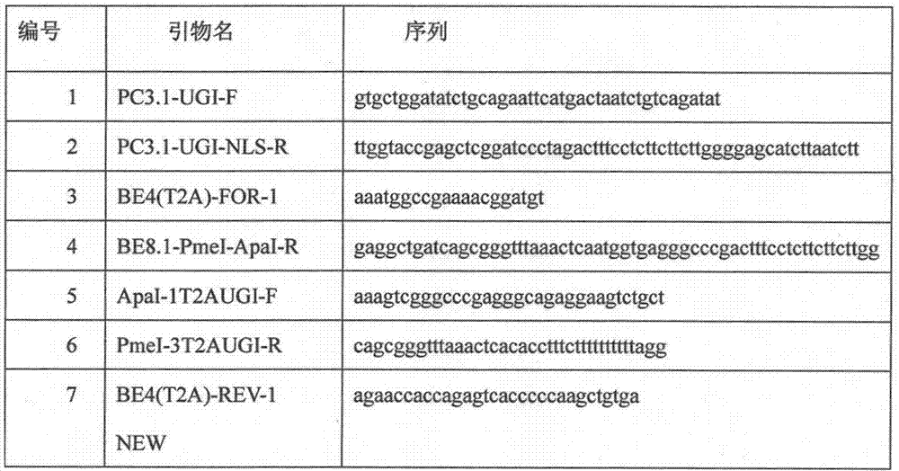 Basic group editing system as well as constructing and applying methods thereof