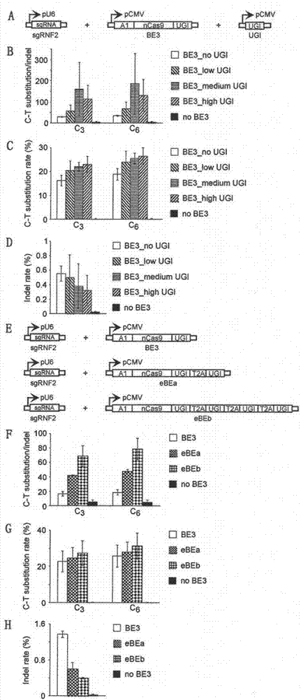 Basic group editing system as well as constructing and applying methods thereof