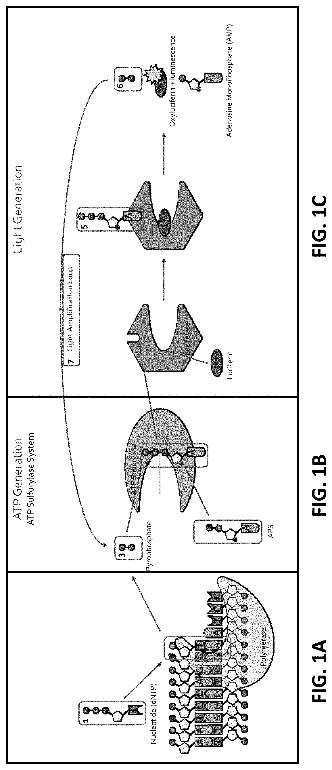 Methods and devices for detecting sars-cov-2