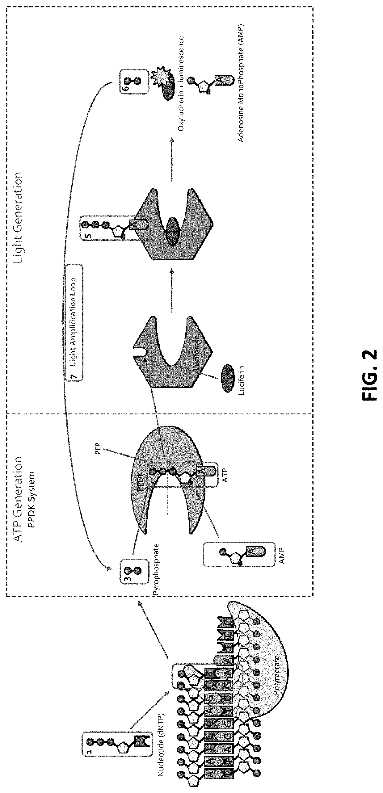 Methods and devices for detecting sars-cov-2