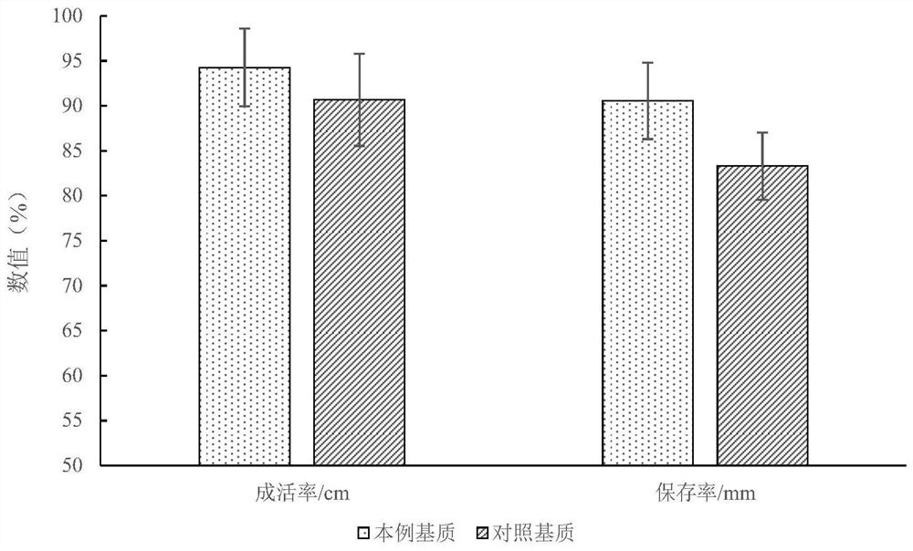 A kind of colloidal matrix for drought resistance and growth promotion of forest trees and its application