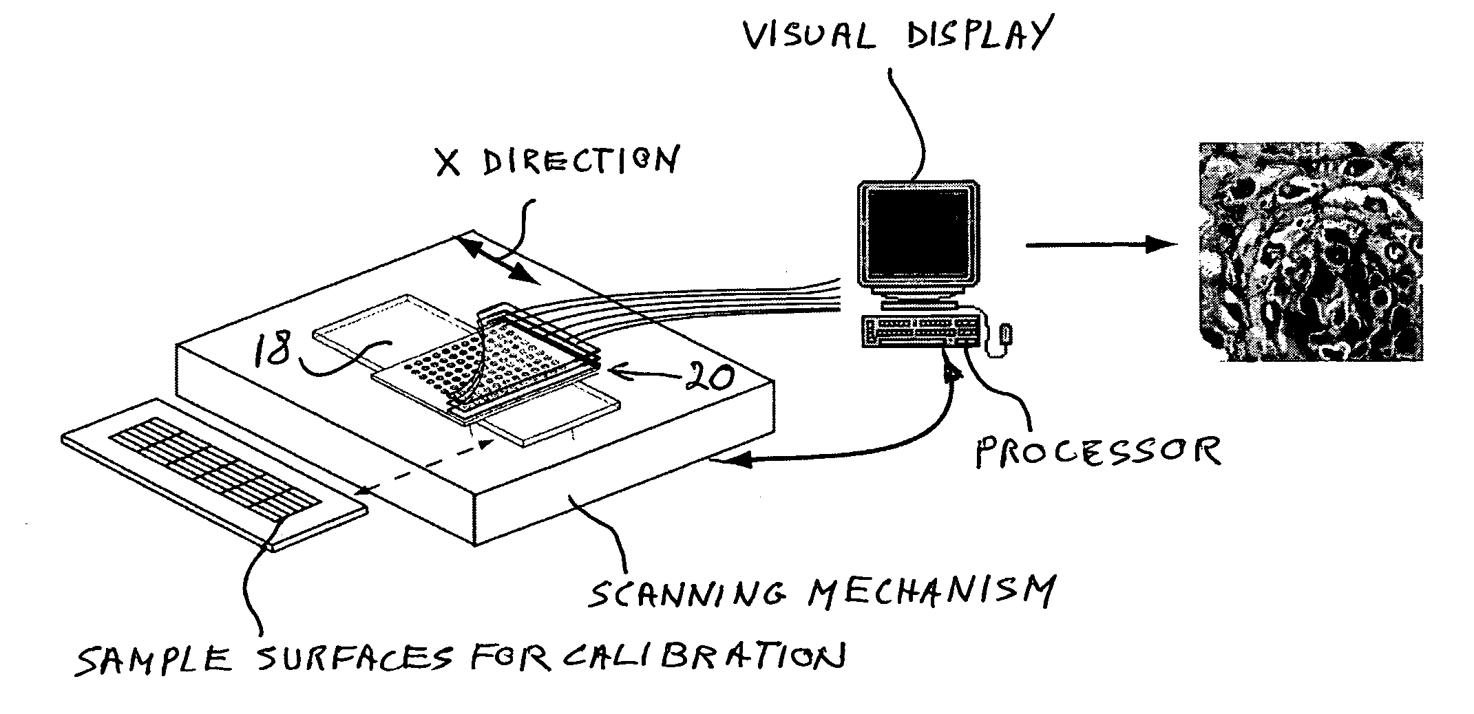 Large-area imaging by concatenation with array microscope