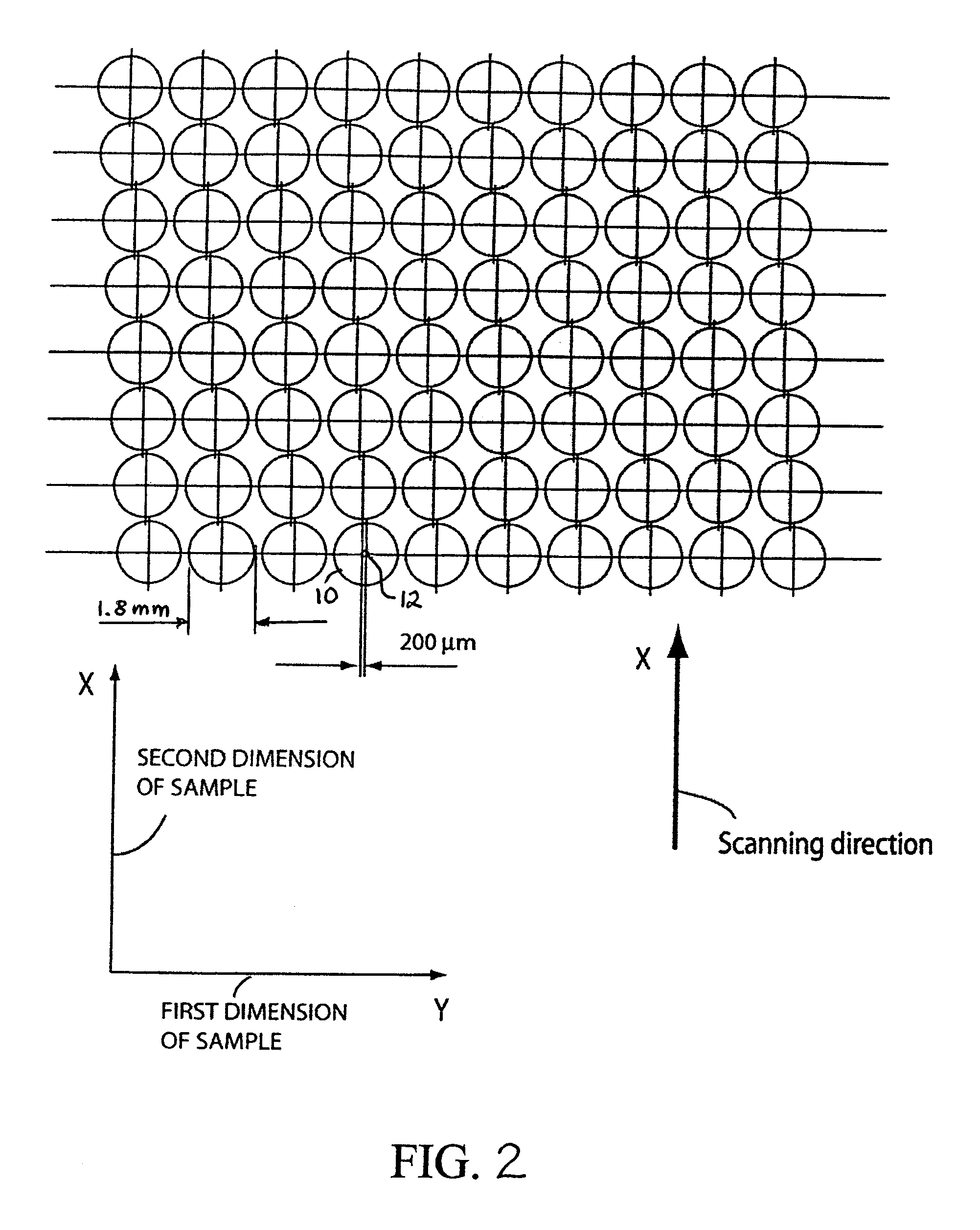 Large-area imaging by concatenation with array microscope