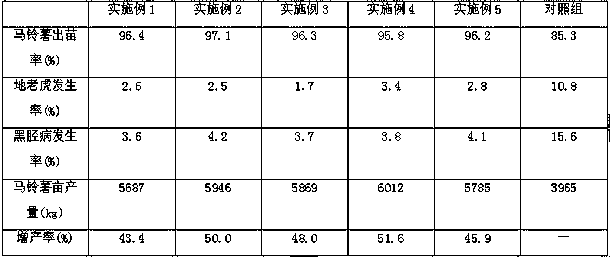 Special biochar-based slow release fertilizer for potato, and preparation method thereof