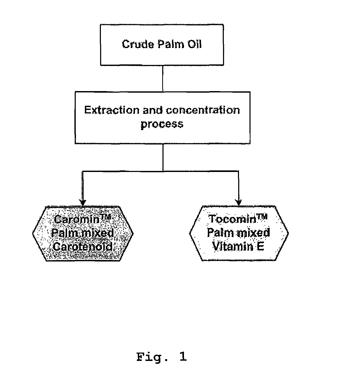 Process for production of highly enriched fractions of natural compounds from palm oil with supercritical and near critical fluids