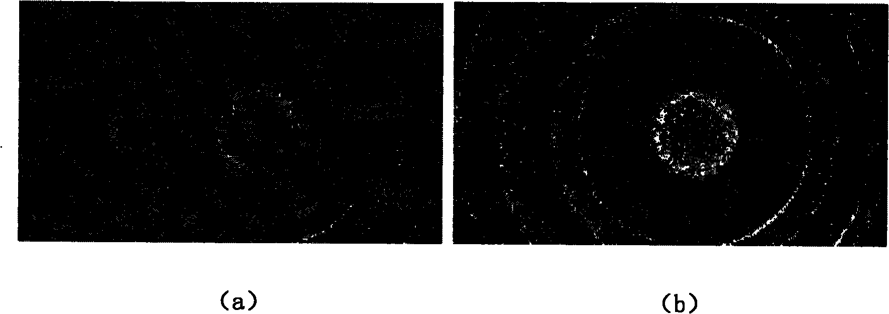 Method for amplifying two-cell Brillouin scattering by controlling polarization state