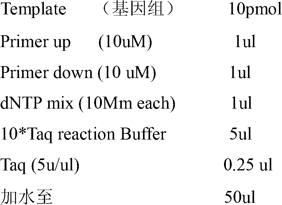 Microbial compound bacteria agent for treating oilfield fracturing flowback fluid, and preparation method of microbial compound agent