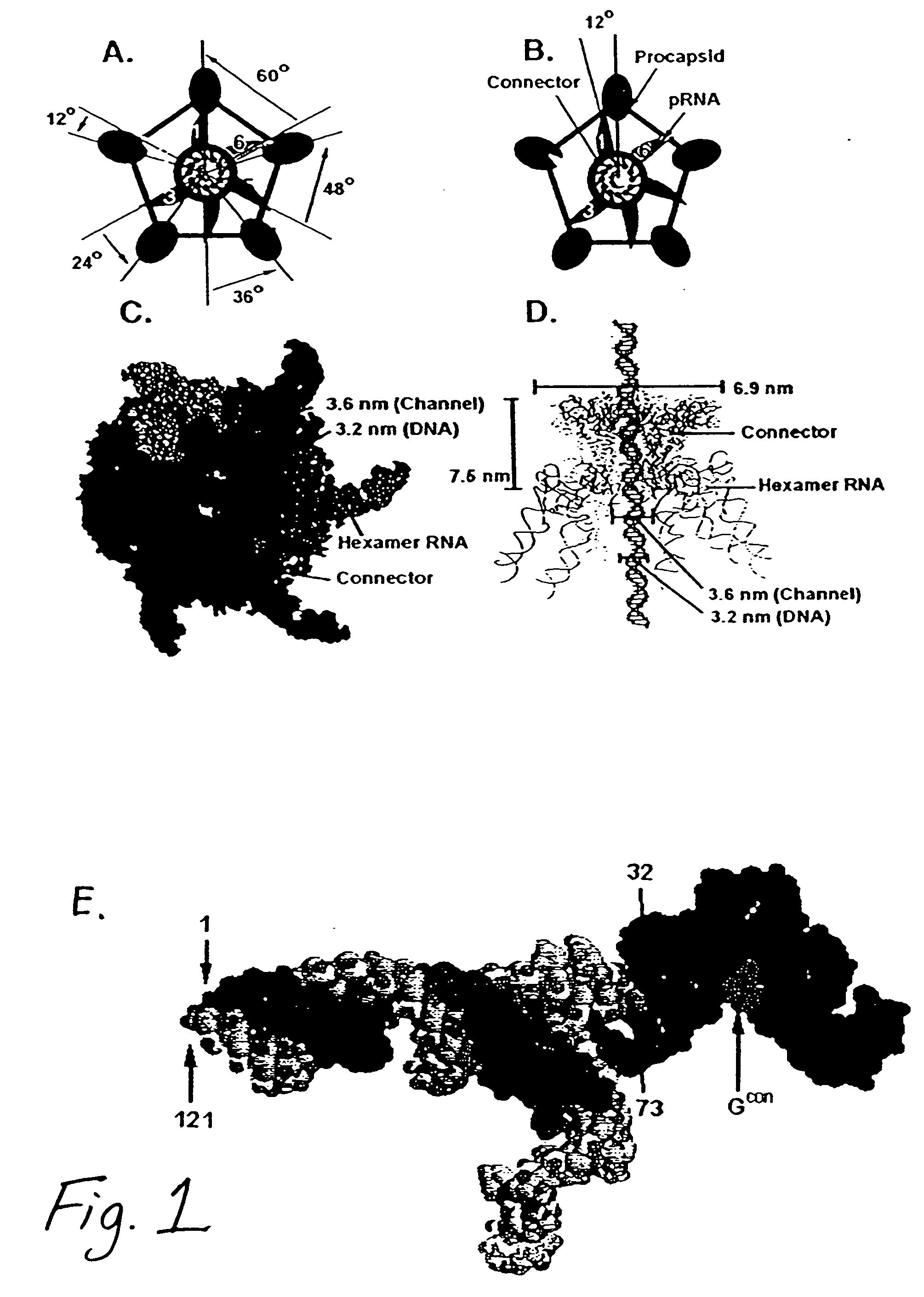 Molecular nanomotor