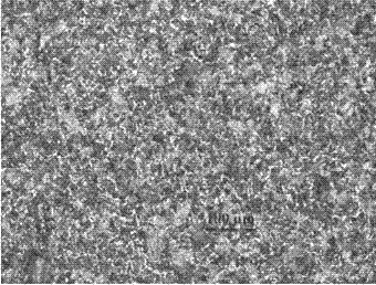 High-carbon steel wire rod tissue grain size grading method