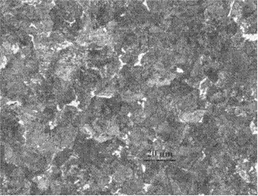 High-carbon steel wire rod tissue grain size grading method