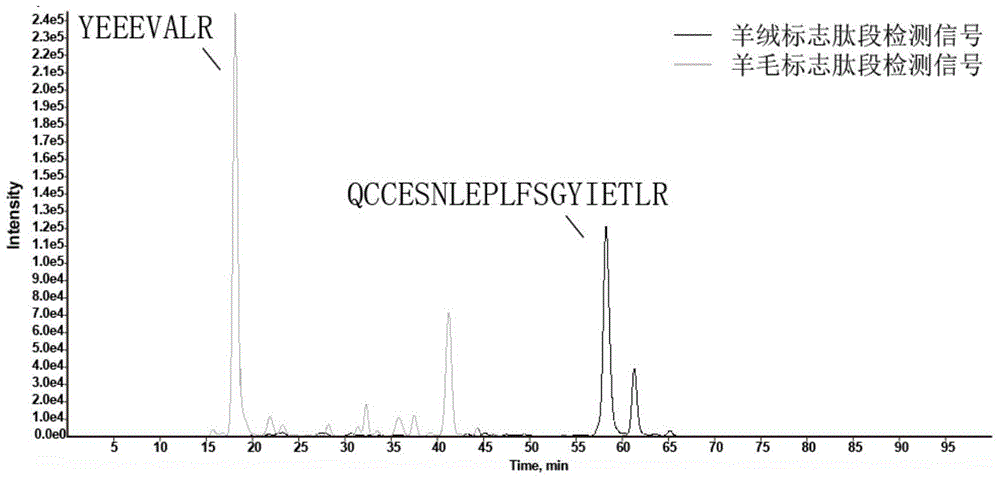 Discrimination method for cashmere and wool, and marker peptide segment used for method